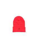 BT Beanies