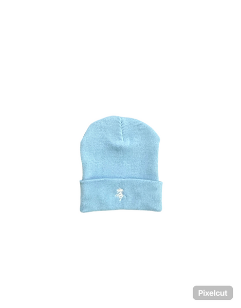 BT Beanies