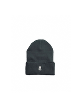 BT Beanies