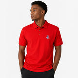 BT Polo shirt