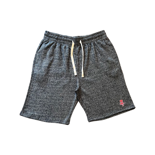 BT Fleece shorts